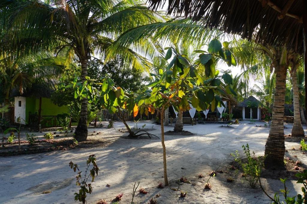 Dreams Of Mapacha Bed & Breakfast Michamvi