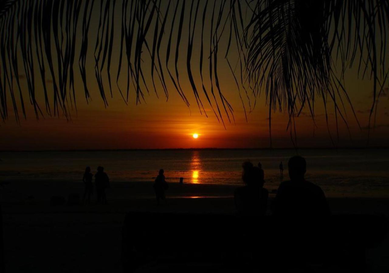 Dreams Of Mapacha Bed & Breakfast Michamvi