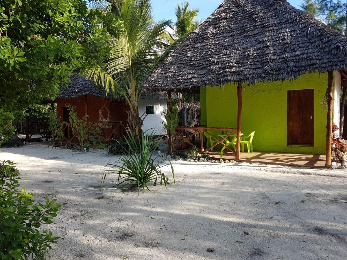Bed & Breakfast Dreams Of Mapacha Michamvi